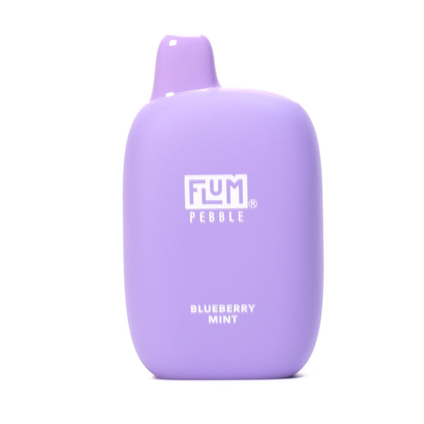 Flum Pebble Disposable Vape - 6000 Puffs-Blueberry Mint - 1