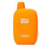 Flum Pebble Disposable Vape - 6000 Puffs-Luscious Watermelon - 1